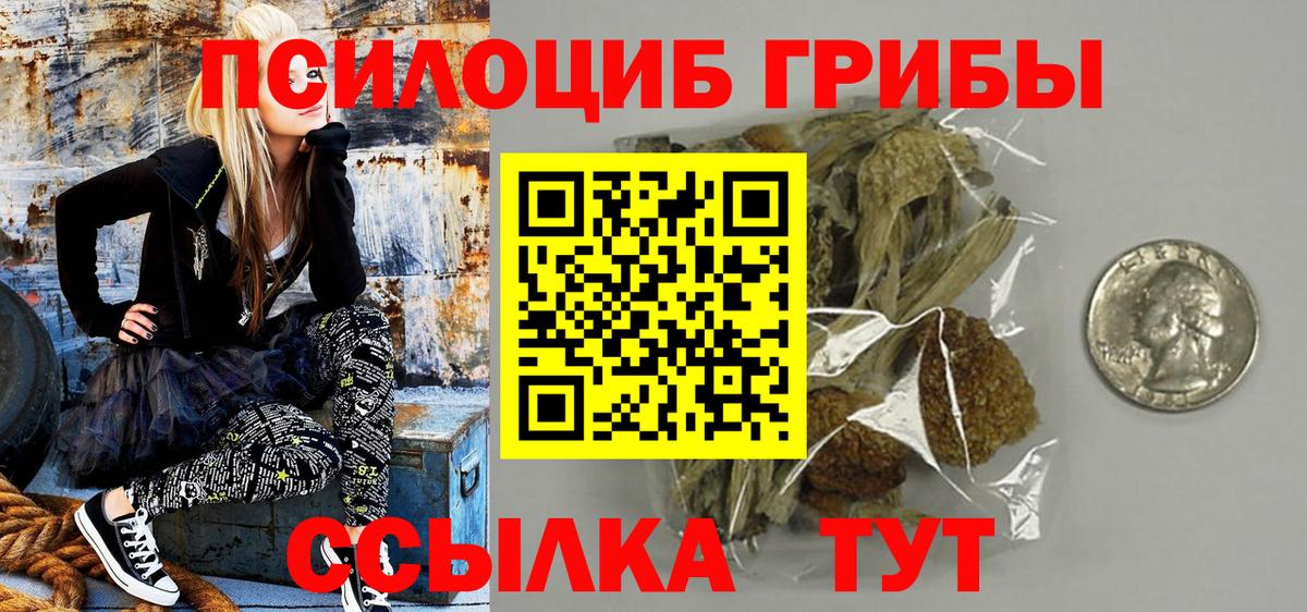 Воркута  что такое   Вход с VPN  Псилоцибиновые грибы мухоморы  Псилоцибиновые грибы GOLDEN TEACHER 