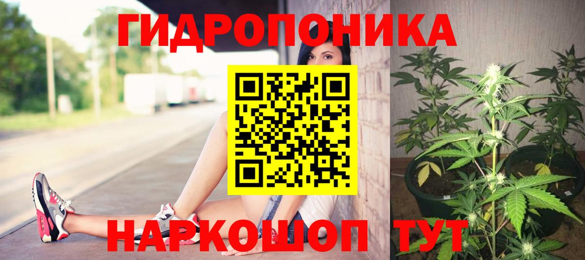 Конопля планчик  Вход с VPN  Бошки Шишки гибрид  Воркута  Бошки марихуана план 